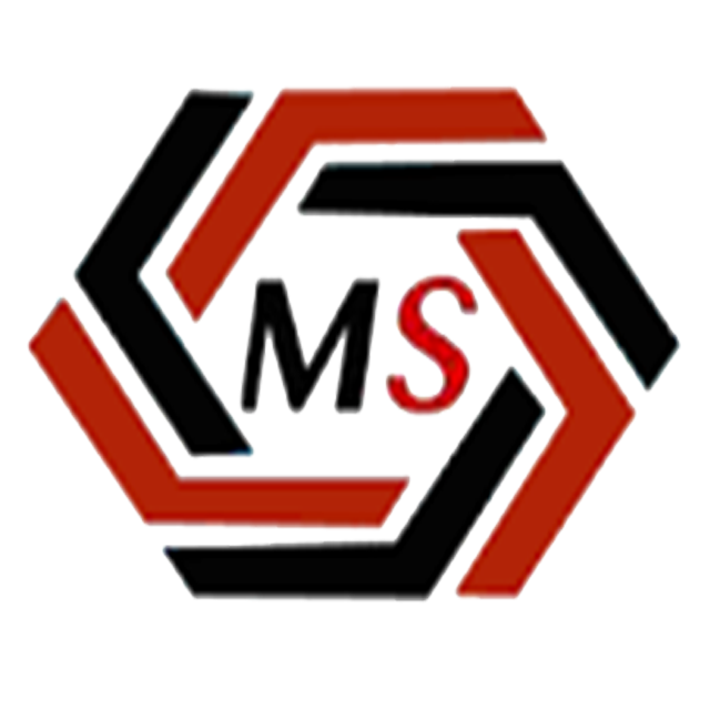 Logo Multisystem